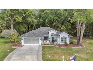 Charming single-story home featuring a well-manicured lawn and a welcoming two-car garage with paved driveway at 11569 Sw 75Th Cir, Ocala, FL 34476