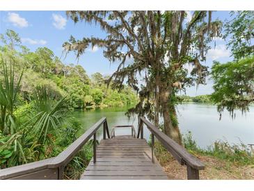 Wooden dock leads to a serene lake surrounded by lush greenery and a tree with Spanish moss at 19938 Burkitt Rd, Dunnellon, FL 34432