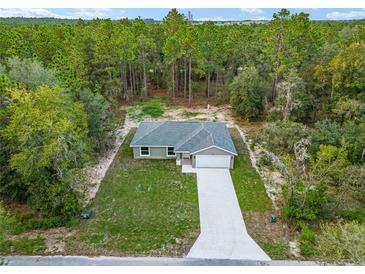 A lovely one story home with a spacious lawn and driveway, nestled among towering pines in a lush green landscape at 23163 Nw Shamrock Ave, Dunnellon, FL 34431