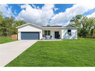 Charming single-story home featuring a well-manicured lawn and a two-car garage at 46 Fisher Lane Ter, Ocklawaha, FL 32179