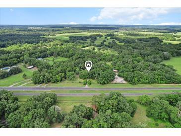 Expansive aerial view of a wooded property showcasing its privacy and natural surroundings at 16120 Nw Us Highway 27, Williston, FL 32696