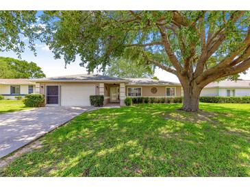 Charming single-story home features a well-manicured lawn, a covered entryway, and an attached two-car garage at 10016 Sw 62Nd Cir, Ocala, FL 34476
