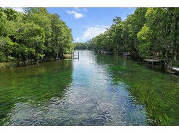 Scenic river view featuring crystal-clear water and lush green vegetation at 11170 Sw 190Th Ave, Dunnellon, FL 34432