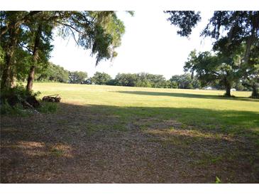 A vast, grassy field with mature trees on the horizon offers ample space and natural beauty at 1050 E Highway 329, Citra, FL 32113