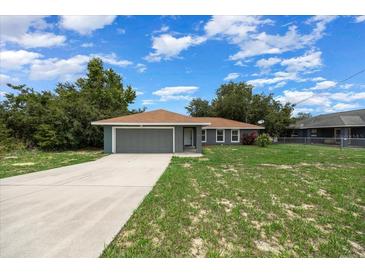 Charming single-story home with a well-maintained front yard and a long driveway at 263 Chestnut Rd, Ocala, FL 34480