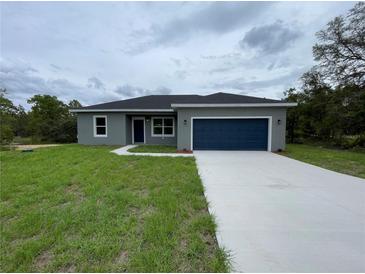 Charming single-story home with a well-maintained lawn and a two-car garage at 142 Guava Pass, Ocklawaha, FL 32179