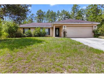 Charming single-story home featuring a well-maintained lawn, attached garage, and inviting front entrance at 23340 Nw Columbine Ave, Dunnellon, FL 34431