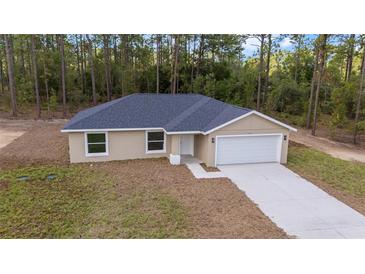 Charming single-story home featuring a two-car garage, neutral paint, and a well-maintained lawn at 391 Nw Crocus Ln, Dunnellon, FL 34431