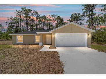 Charming single-story home featuring a clean, modern exterior with a two-car garage and well-manicured front yard at 681 Sw Fig Tree Ln, Dunnellon, FL 34431