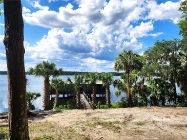 Beautiful lake view featuring a private dock with palm trees and lush greenery at 17051 Ne 243Rd Place Rd, Fort Mc Coy, FL 32134