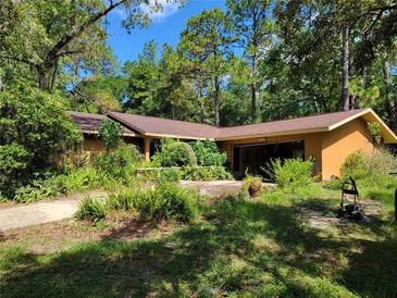 Inviting one-story home surrounded by lush greenery and trees under a bright blue sky at 20045 Sw 88Th Place Rd, Dunnellon, FL 34431
