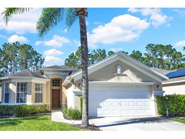 Charming single-story home featuring a 2-car garage, landscaped yard and a beautiful mature palm tree in the front at 662 Orista Dr, Davenport, FL 33897