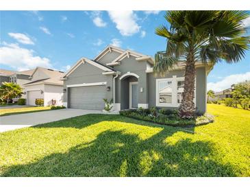 Charming single-story home with a well-maintained lawn, mature palm tree and manicured landscaping at 1813 Castleton Dr, St Cloud, FL 34771