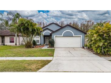 Single-story house with a gray exterior, two-car garage, and palm trees at 2507 Talega Dr, St Cloud, FL 34772
