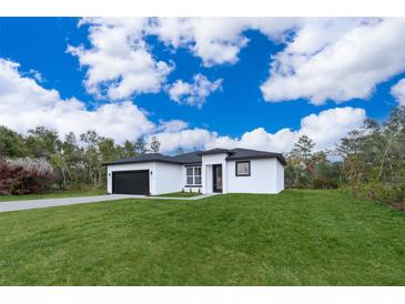 Charming single-story home with a well-manicured lawn and black garage door at 12691 Sw 33Rd Ave, Ocala, FL 34473