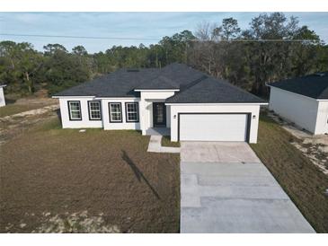 Modern one-story home featuring a two-car garage, black-framed windows, and a well-manicured lawn at 1313 Congo Dr, Kissimmee, FL 34759