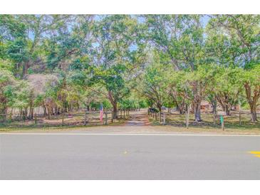 Long driveway leading to the home with an American flag flying near the front entrance and lush landscaping at 15345 Rockridge Rd, Polk City, FL 33868