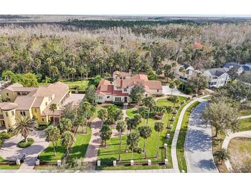 Stunning aerial view of a luxury estate with lush landscaping, palm trees, and a private setting at 1211 Aquila Loop, Kissimmee, FL 34747