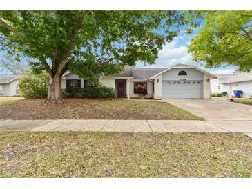 Charming single-story home featuring a two-car garage, mature tree, and well-maintained front yard at 3619 Willow Lake Ct, St Cloud, FL 34769