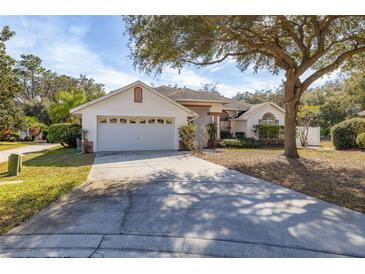 Charming single-story home with an attached two-car garage and mature landscaping in a serene neighborhood at 248 Breezy Oaks Ct, Davenport, FL 33896