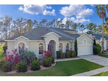 Charming single Gathering home with a well maintained lawn and beautiful, colorful landscaping at 311 N Hampton Dr, Davenport, FL 33897