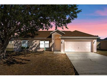 Charming single-story home featuring a well-manicured front lawn, a two-car garage, and welcoming entrance with front tree at 258 Grouper Ct, Kissimmee, FL 34759