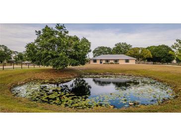 Scenic property featuring a pond with lily pads and a home with a well-maintained lawn and mature trees at 4091 Lippman Rd, St Cloud, FL 34772