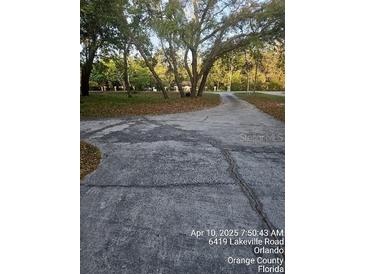 Long cracked concrete driveway lined with mature trees leads to the property at 6419 Lakeville Rd, Orlando, FL 32818