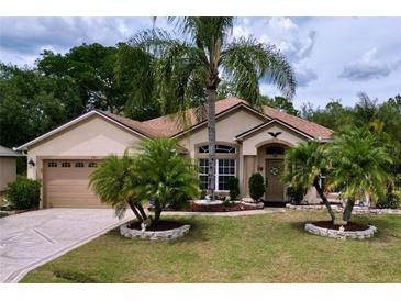 Charming single-story home with well-manicured lawn and mature palm trees at 1011 Dampierre Ct, Kissimmee, FL 34759