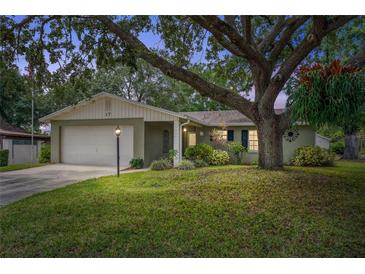 Charming single-story home featuring a mature tree, well-maintained lawn, and attached two-car garage at 17 Juniper Dr, Davenport, FL 33837