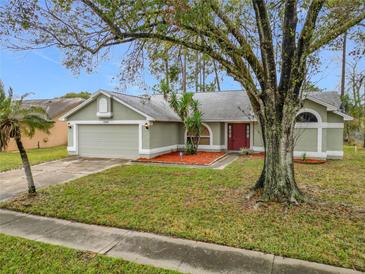 Single-story house with a green exterior and red door, nestled amongst trees at 2226 Baker Ave, Orlando, FL 32833