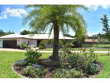 Charming single-story home with a well-manicured lawn and a decorative palm tree in the front yard at 225 Temple Cir, Eustis, FL 32726