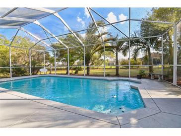 Screened pool boasts palm trees and ample room for entertaining outdoors at 5261 Waterwood Dr, Bartow, FL 33830