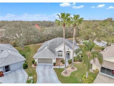 Charming home featuring mature palm trees, well-maintained landscaping, and attached two-car garage at 21505 Castle View Ct, Leesburg, FL 34748