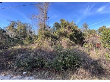 A lush land with various trees and bushes beneath a clear blue sky at 0 Se 141St Pl, Umatilla, FL 32784