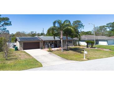 Charming single-story home featuring solar panels, a well-manicured lawn, and inviting curb appeal with tropical landscaping at 1062 Mayflower Ave, Deltona, FL 32725