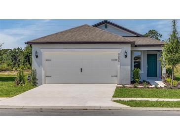 A two-car garage featuring an extended concrete driveway and manicured lawn at 9056 Wildlight Trl, Wildwood, FL 34785