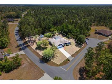 Lovely property featuring a screened-in pool, surrounded by lush greenery and mature trees at 3690 Sw 175Th St, Ocala, FL 34473