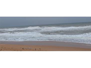 Scenic view of a sandy beach with waves crashing on the shore and seagulls in the foreground at 3100 Ocean Shore Blvd # 101, Ormond Beach, FL 32176