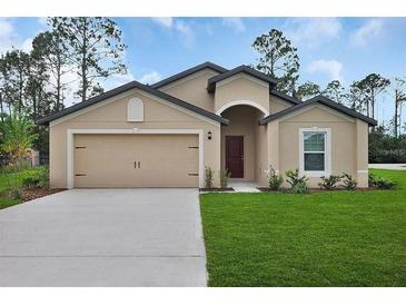 Charming single-story home with a well-manicured lawn, attached garage, and neutral color palette at 27 Perch Dr, Kissimmee, FL 34759