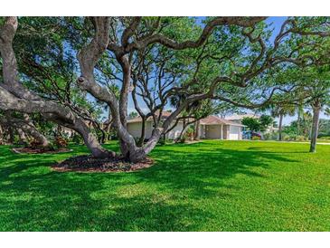 Expansive green front yard with a large, mature tree providing shade to the single story home at 64 Alberta Ave, Ponce Inlet, FL 32127