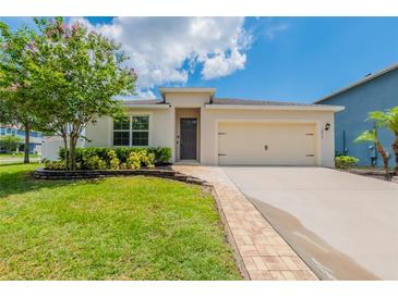 Charming single-Gathering home featuring a well-manicured lawn and inviting walkway leading to the front door at 3079 Bethpage Loop, Mount Dora, FL 32757