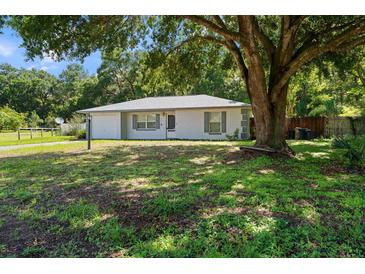 Charming single-story home with a well-maintained lawn and mature tree providing ample shade at 13449 Ashley Ct, Grand Island, FL 32735
