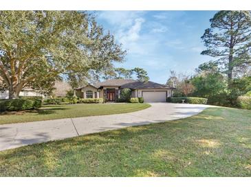 Single-story home with a large front yard, driveway, and mature trees at 376 Hampton Hills Ct, Debary, FL 32713