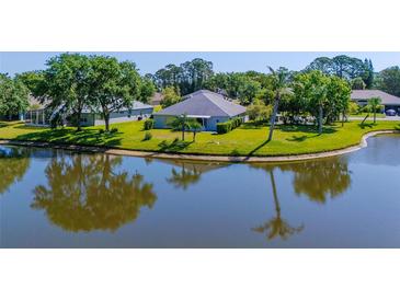 Scenic home exterior view with a well-maintained lawn and serene water reflection at 2758 Turnbull Cove Dr, New Smyrna Beach, FL 32168