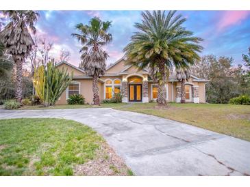 Tan house with palm trees, stone accents, and a large driveway at 43747 Choctaw St, Deland, FL 32720