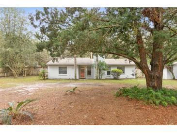 Charming single-story home with palm trees and a well-maintained front yard at 749 Cassadaga Rd, Lake Helen, FL 32744