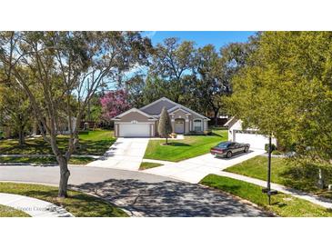 Charming single-story home with manicured lawn, two-car garage, and extended driveway at 1222 Brandy Lake View Cir, Winter Garden, FL 34787