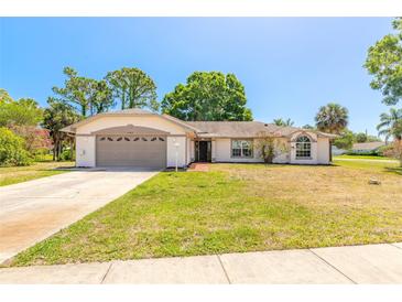 Charming single-story home with a well-maintained lawn, attached garage, and inviting entryway at 4589 Alder Dr, Port Orange, FL 32127