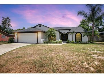 Charming single-story home with a well-manicured lawn, a two-car garage, and lovely landscaping at 245 Rosita Dr, Debary, FL 32713